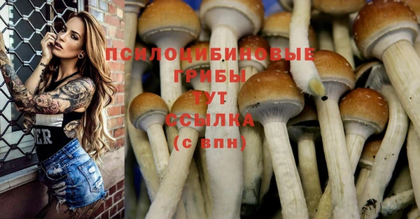 ALPHA PVP Заволжье