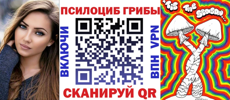 Псилоцибиновые грибы Cubensis  Купить закладки  Михайлов 
